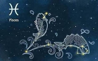 双鱼女性格(二月份的双鱼女性格)