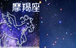 摩羯座男生喜欢什么样的女生(摩羯座男生喜欢什么样的女生啊)
