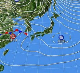 12月14(12月14日是什么星座)