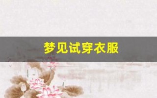 梦见试穿衣服(梦见试穿衣服有点小)