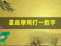星座摩羯打一数字(星座摩羯打一数字是几)