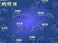 星座测试网(星座测试网站免费)