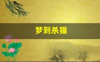 梦到杀猫(梦到杀猫代表啥)