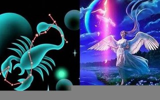 天蝎座女(天蝎座女配什么星座男)