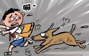 梦见被够狗咬了预示着什(梦见被够狗咬了预示着什么意思男性)