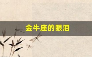 金牛座的眼泪(金牛座的眼泪朱洙在线观看)