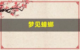 梦见蟑螂(梦见蟑螂和老鼠是什么意思)
