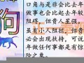 属狗2021年运势及运程每月运程(属狗2021年运势及运程每月运程大家找算命网)