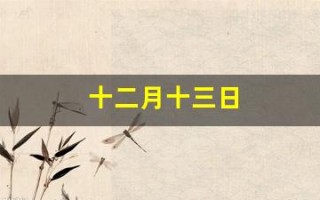 十二月十三日(十二月十三日南京大屠杀纪念日)