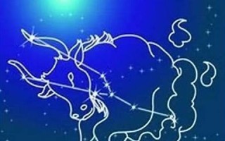 金牛座今日运势查询(下周星座运势最新)