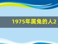 1975年属兔的人2013年运程(1975年的兔子2020年运程)