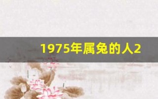1975年属兔的人2013年运程(1975年的兔子2020年运程)