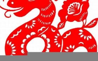 蛇年运程2013生肖年运(2013蛇今年运气)