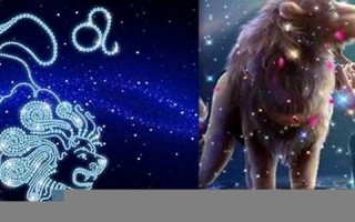 狮子座是几月到几月几日日(狮子座是几月到几月几日日生日)