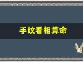 手纹看相算命(手纹看相算命图书)