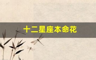 十二星座本命花(十二星座本命花简笔画)