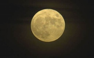9月29日(9月29日出生五行属什么)