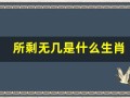 所剩无几是什么生肖(所剩无几是什么生肖澳门)