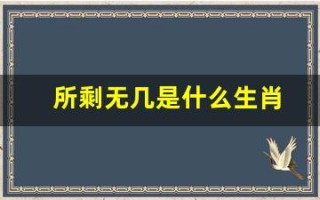 所剩无几是什么生肖(所剩无几是什么生肖澳门)