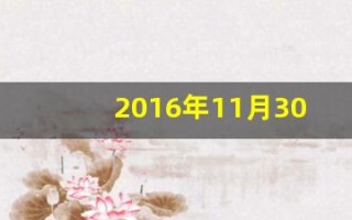 2016年11月30日(2016年11月30日出生是什么星座)