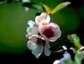 2月14(2月14情人节)
