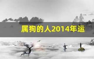 属狗的人2014年运程(属狗人2014年运势运程)