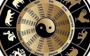 2011年属什么生肖(2011年属什么生肖什么命)