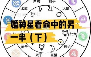 星座命理测算(星座命运测试)