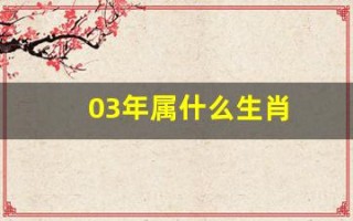03年属什么生肖(96年属什么生肖)