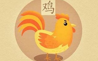 2013属鸡的运程(2013属鸡财运)