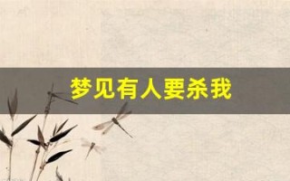 梦见有人要杀我(但没成功)
