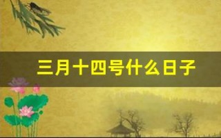 三月十四号什么日子(三月十四号是)