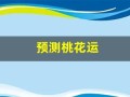 预测桃花运(测桃花运2021)