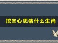挖空心思猜什么生肖(挖空心思猜什么生肖数字)