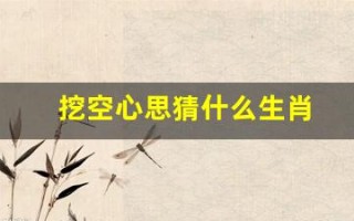 挖空心思猜什么生肖(挖空心思猜什么生肖数字)