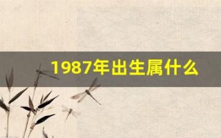 1987年出生属什么(1987年出生属什么的生肖)